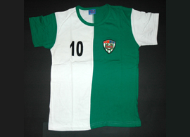 Rapid Vienna shirt trikot